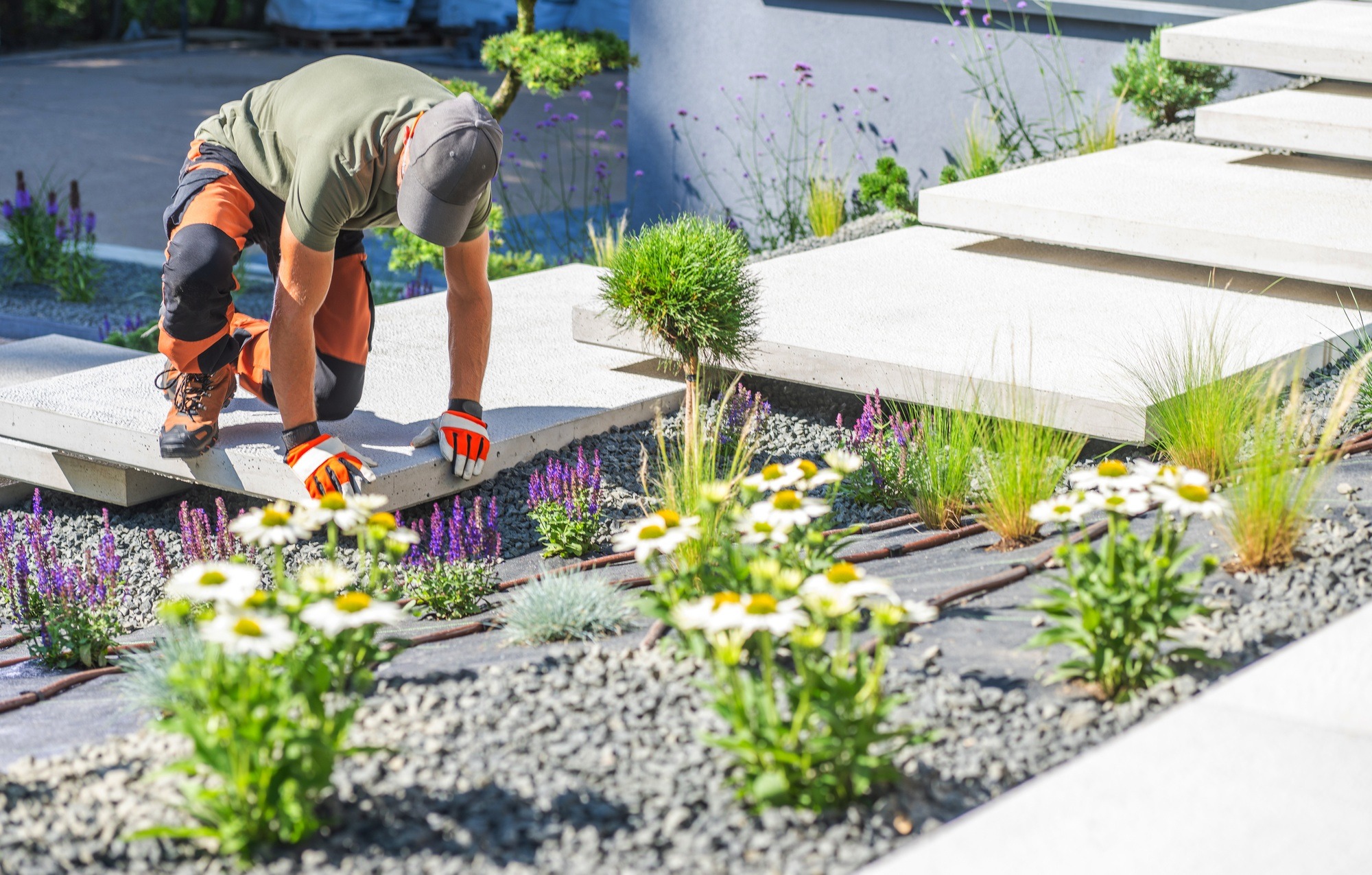 Gardener Planting Flowers in a Modern Landscape Design on a Sunny Day With Stone Pathways